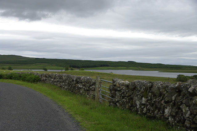 Loch Urr – Sheep Wall